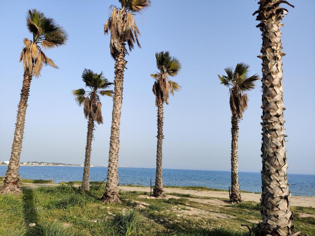 Palm Garden Paradise Perivolia Luaran gambar